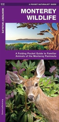 Monterey Wildlife - Kavanagh, James; Waterford Press