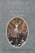 The Jesus You Never Knew - Bild 1