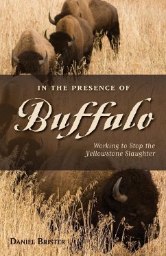 In the Presence of Buffalo - Brister, Daniel