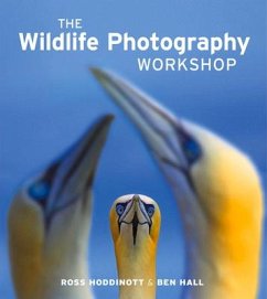 The Wildlife Photography Workshop - Hoddinott