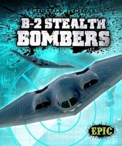 B-2 Stealth Bombers - Finn, Denny von