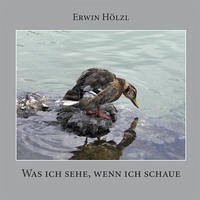 Was ich sehe, wenn ich schaue - Hölzl, Erwin