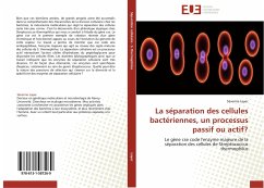 La séparation des cellules bactériennes, un processus passif ou actif? - Layec, Séverine