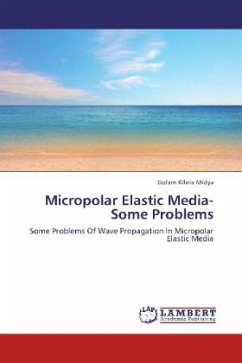 Micropolar Elastic Media- Some Problems