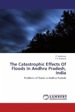 The Catastrophic Effects Of Floods In Andhra Pradesh, India