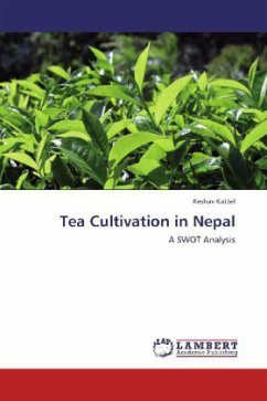Tea Cultivation in Nepal