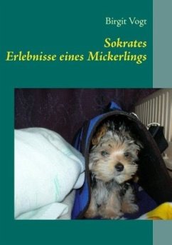 Sokrates - Vogt, Birgit