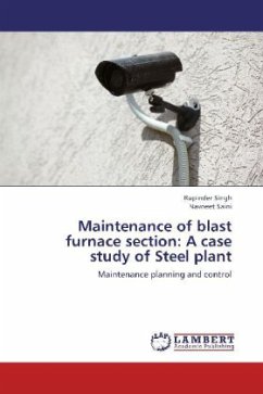 Maintenance of blast furnace section: A case study of Steel plant