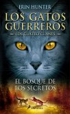 El Bosque de Los Secretos / Forest of Secrets