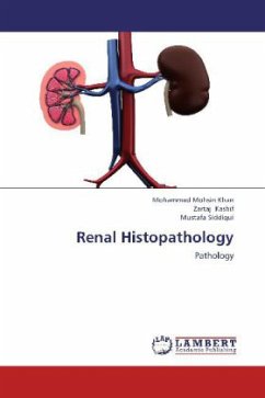 Renal Histopathology