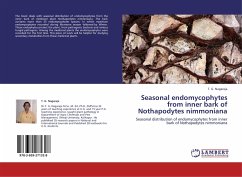Seasonal endomycophytes from inner bark of Nothapodytes nimmoniana