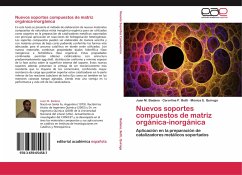 Nuevos soportes compuestos de matriz orgánica-inorgánica - Badano, Juan M.;Betti, Carorlina P.;Quiroga, Mónica E.