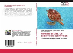 Historias de vida. Un cambio en la cosmovisión - Fuentes-Mascorro, Gisela;López R., Félix A.;González R, M del Socorro