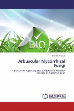 Arbuscular Mycorrhizal Fungi - Rashad, Younes