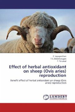 Effect of herbal antioxidant on sheep (Ovis aries) reproduction
