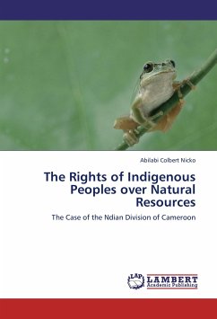 The Rights of Indigenous Peoples over Natural Resources