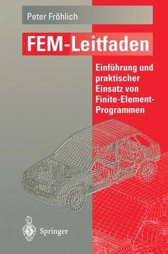 FEM-Leitfaden - Fröhlich, Peter