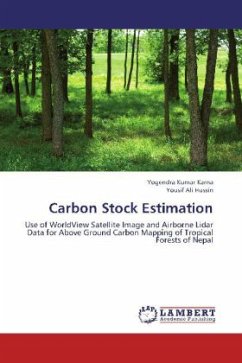 Carbon Stock Estimation
