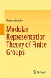 Modular Representation Theory of Finite... - Bild 1