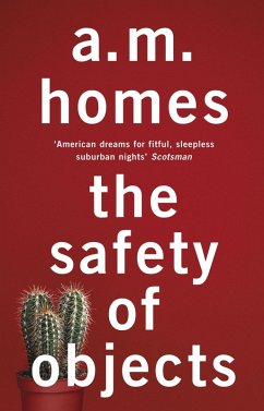 The Safety Of Objects - Homes, A.M. (Y)