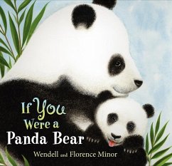 If You Were a Panda Bear - Minor, Florence