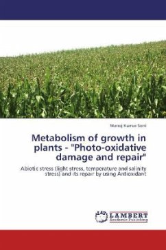 Metabolism of growth in plants - 