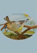 The Stone Soup Sketchbook (small) - Bild 1