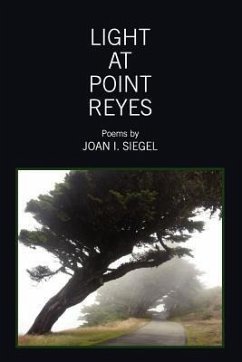 Light at Point Reyes - Siegel, Joan I.