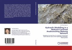 Hydraulic Modelling in a Bedrock-Confined Anabranching Mekong Network