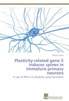 Plasticity-related gene 5 induces spines in immature primary neurons - Coiro, Pierluca
