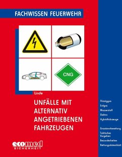 Unfälle mit alternativ angetriebenen Fahrzeugen - Linde, Christof