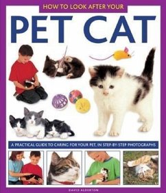 How to Look After Your Pet Cat - Alderton David