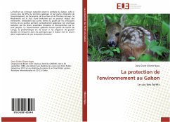 La protection de l'environnement au Gabon - Ollomo Ngou, Davy-Gisèle