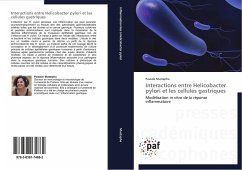 Interactions entre Helicobacter pylori et les cellules gastriques