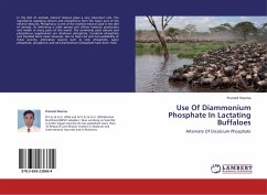 Use Of Diammonium Phosphate In Lactating Buffaloes