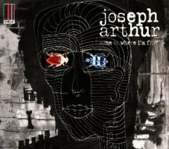 Big City Secrets - Joseph Arthur