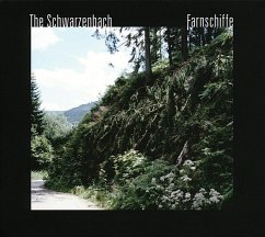 Farnschiffe - Schwarzenbach,The