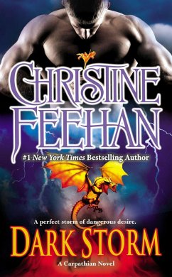 Dark Storm - Feehan, Christine