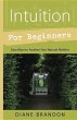 Intuition for Beginners - Bild 1