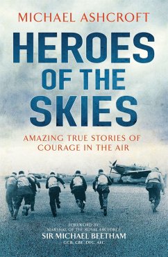 Heroes of the Skies - Ashcroft, Michael
