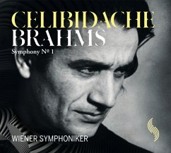 Sinfonie 1 - Brahms,J.