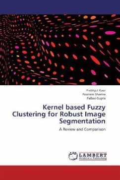 Kernel based Fuzzy Clustering for Robust Image Segmentation