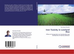 Iron Toxicity in Lowland Rice