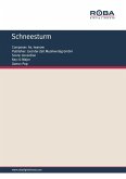 Schneesturm (eBook, PDF)