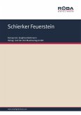 Schierker Feuerstein (eBook, PDF)