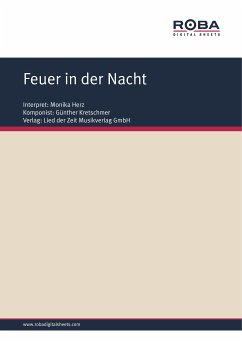 Feuer in der Nacht (fixed-layout eBook, ePUB) - Kretschmer, Günther; Schneider, Dieter