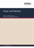 Feuer und Flamme (fixed-layout eBook, ePUB)