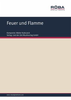 Feuer und Flamme (fixed-layout eBook, ePUB) - Kubiczeck, Walter