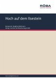 Hoch auf dem Ilsestein (eBook, PDF)