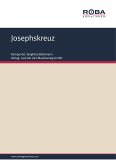 Josephskreuz (eBook, ePUB)